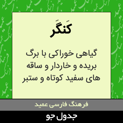 تصویری از کنگر