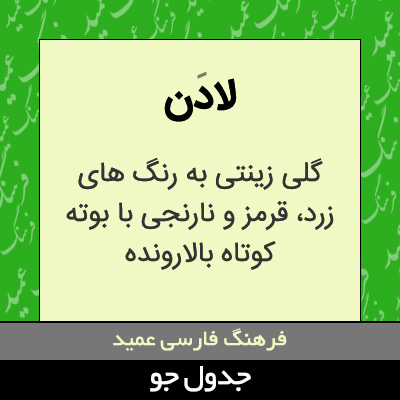 تصویری از لادن