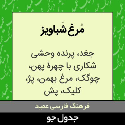 تصویری از مرغ شباویز