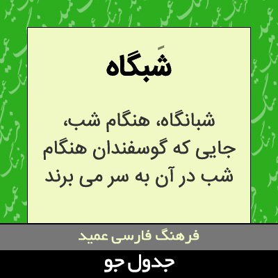 تصویری از شبگاه