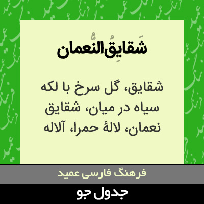 تصویری از شقایق النعمان