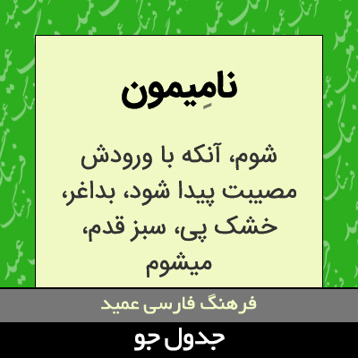 تصویری از نامیمون