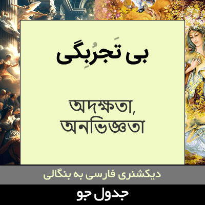 تصویری از بی تجربگی