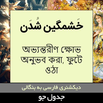 تصویری از خشمگین شدن