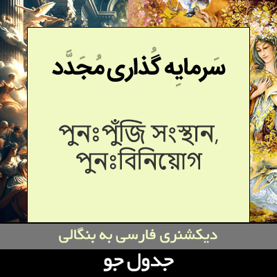 تصویری از سرمایه گذاری مجدد