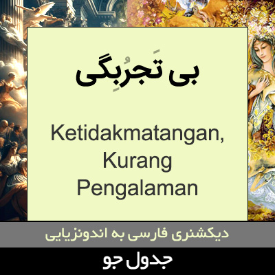 تصویری از بی تجربگی