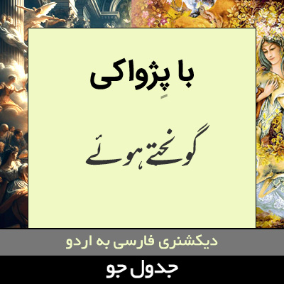 تصویری از با پژواکی