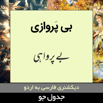 تصویری از بی پروازی