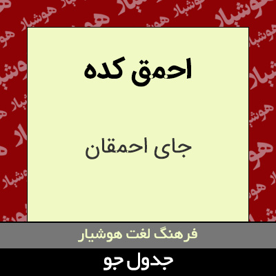 تصویری از احمق کده