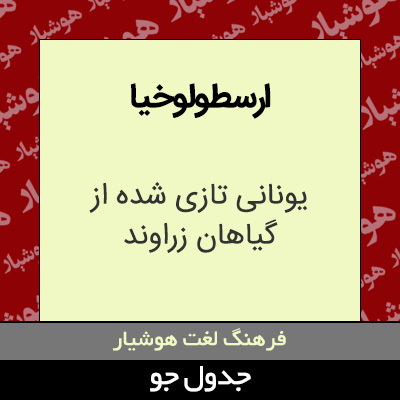 تصویری از ارسطولوخیا