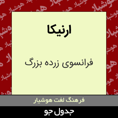 تصویری از ارنیکا