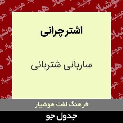 تصویری از اشتر چرانی