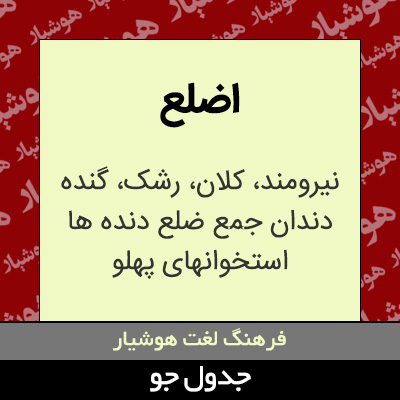 تصویری از اضلع