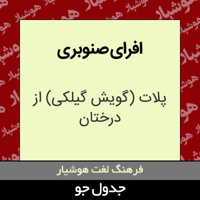 تصویری از افرای صنوبری