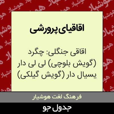 تصویری از اقاقیای پرورشی