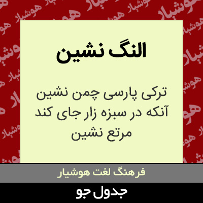 تصویری از النگ نشین