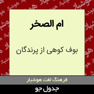 تصویری از ام الصخر