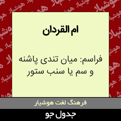 تصویری از ام القردان