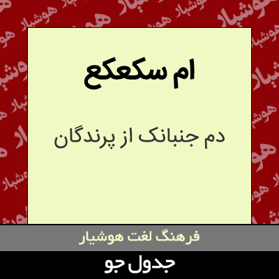 تصویری از ام سکعکع