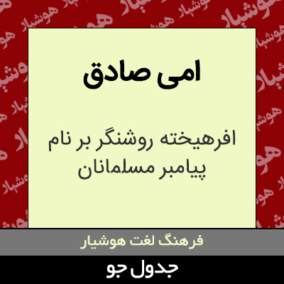 تصویری از امی صادق