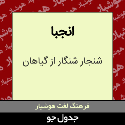 تصویری از انجبا