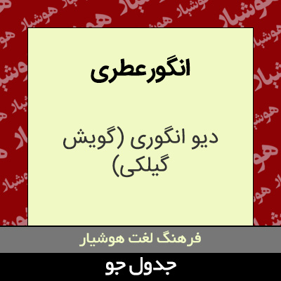 تصویری از انگور عطری