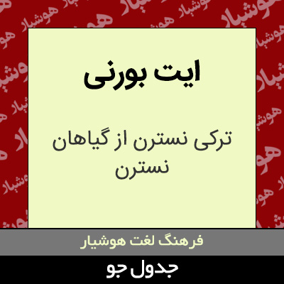 تصویری از ایت بورنی