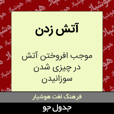 تصویری از آتش زدن