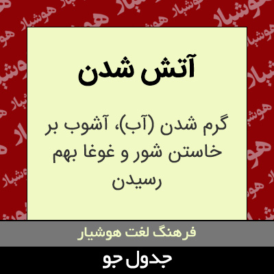 تصویری از آتش شدن