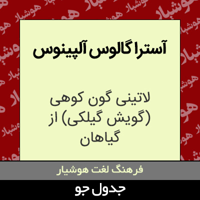 تصویری از آسترا گالوس آلپینوس