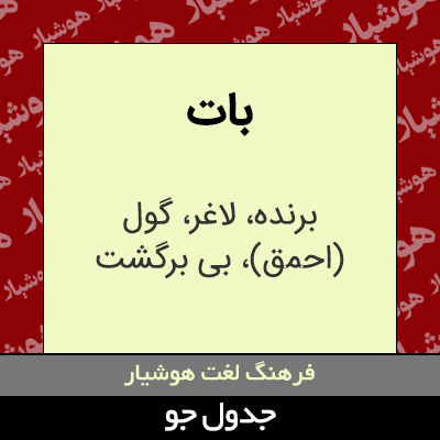 تصویری از بات