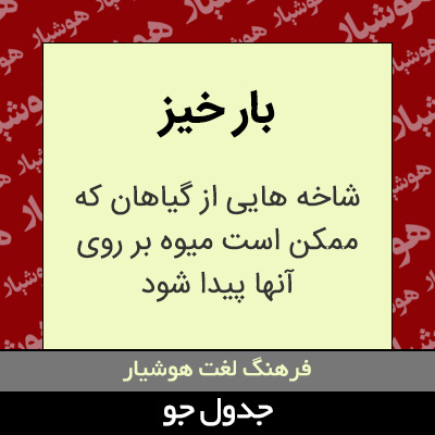 تصویری از بار خیز