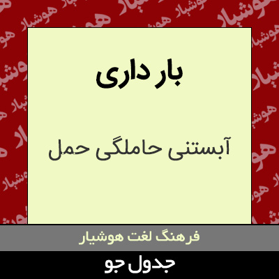 تصویری از بار داری