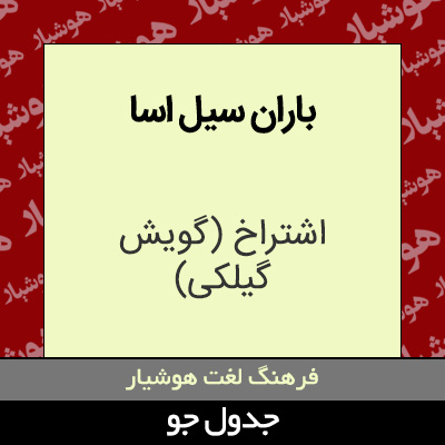 تصویری از باران سیل اسا