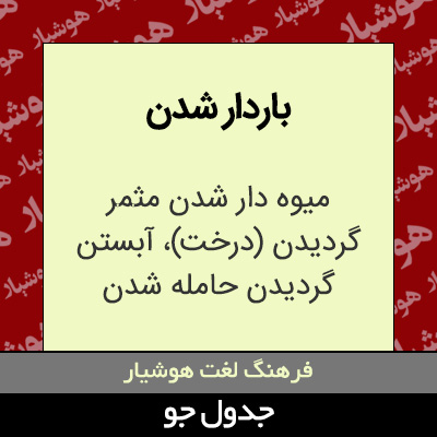 تصویری از باردار شدن