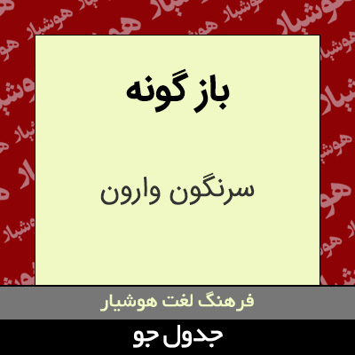 تصویری از باز گونه