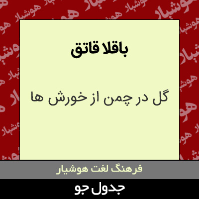 تصویری از باقلا قاتق