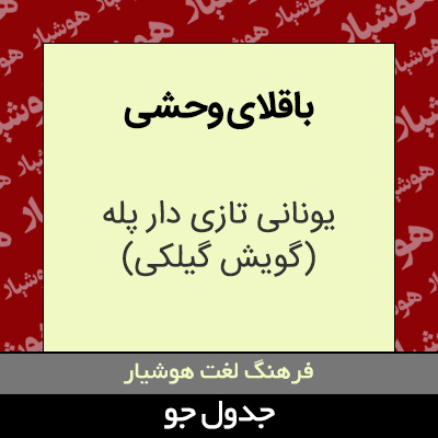 تصویری از باقلای وحشی