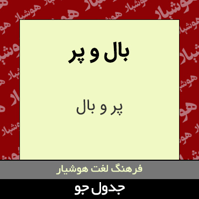 تصویری از بال و پر