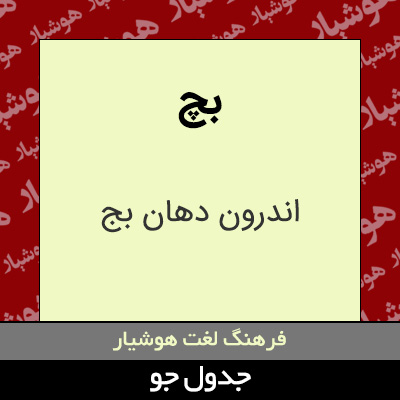 تصویری از بچ