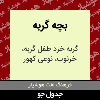 تصویری از بچه گربه