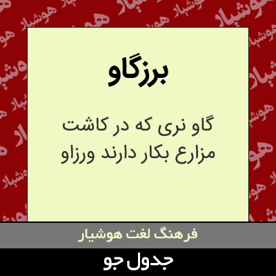 تصویری از برزگاو