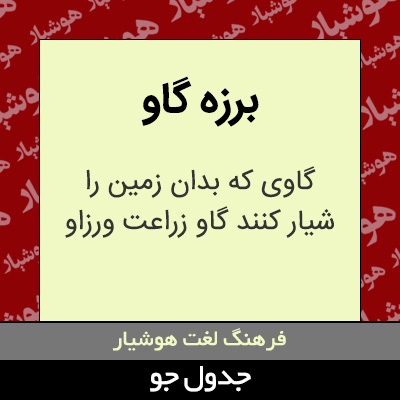 تصویری از برزه گاو