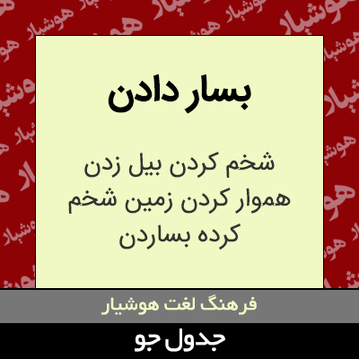 تصویری از بسار دادن