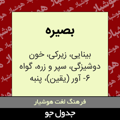 تصویری از بصیره