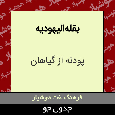تصویری از بقله الیهودیه