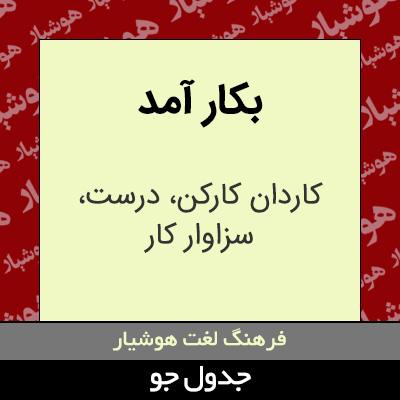 تصویری از بکار آمد