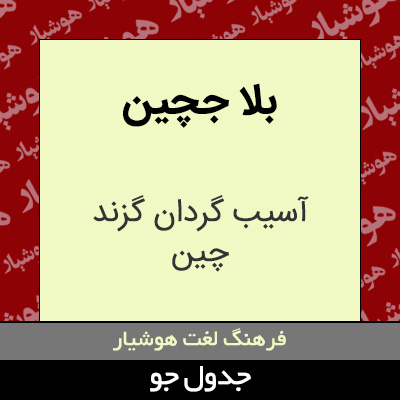 تصویری از بلا جچین