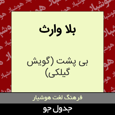 تصویری از بلا وارث