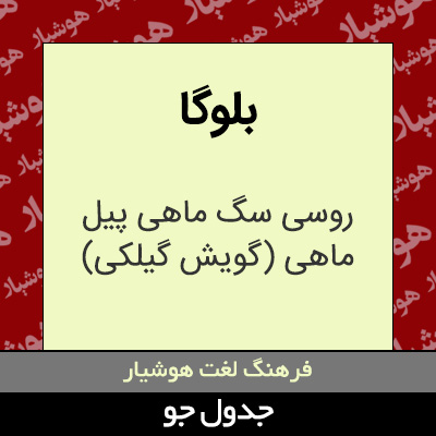 تصویری از بلوگا